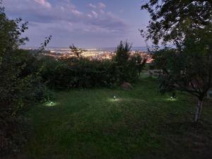 Une colline herbeuse avec des lumières allumées la nuit dans l'établissement Pensiunea Bella Vista, à Turda