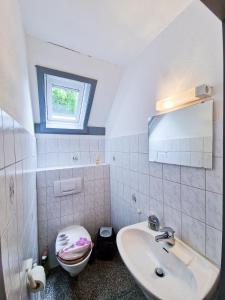 a bathroom with a sink and a toilet and a window at Ferienhaus Seepark in Kirchheim in Kirchheim