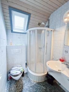 a bathroom with a shower and a toilet and a sink at Ferienhaus Seepark in Kirchheim in Kirchheim