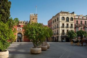 una calle de la ciudad con edificios y árboles en macetas en Magno Apartments Santo Tomas en Sevilla