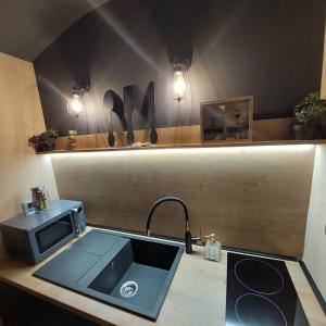 a kitchen counter with a sink and a microwave at HOME in BLACK, designer decorated in Zagreb