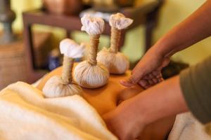 a person holding four bulbs of garlic on a table at Chamba Camp Thiksey in She