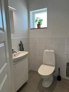 uma casa de banho com um WC, um lavatório e uma janela em Hallands Equestrian Center em Laholm