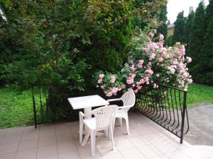 Zahrada ubytování Holiday Apartmanház