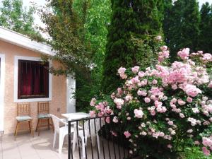 Zahrada ubytování Holiday Apartmanház