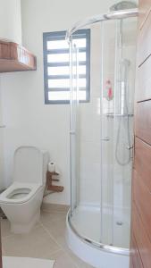 a bathroom with a shower and a toilet at BEL HORIZON Nosy Be in Nosy Be +39 photos
