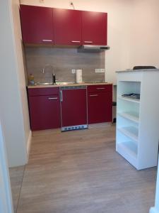 a kitchen with red cabinets and a sink at Appartment Hochpaterre in Springe