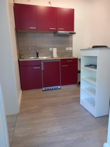 eine Küche mit roten Schränken und einer Spüle in der Unterkunft Appartment Hochpaterre in Springe