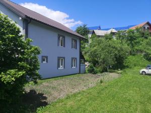 niebieski dom z ogródkiem w obiekcie Apartman Irvas Kolasin w mieście Kolašin
