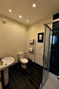 a bathroom with a toilet and a sink and a shower at Chateau Coeur de Lion in Châteauponsac