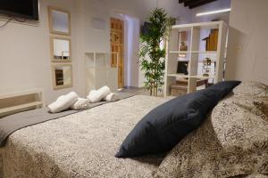 een slaapkamer met een groot bed met kussens erop bij Apartamento AstaRegia in Jerez de la Frontera