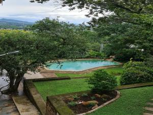 an overhead view of a swimming pool in a garden at The Green Lizard Guesthouse in Nelspruit