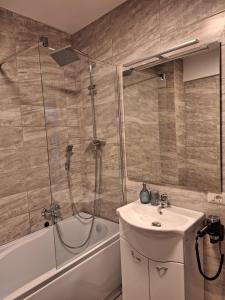 La salle de bains est pourvue d'une douche, d'un lavabo et d'une baignoire. dans l'établissement CITADEL VIEW, à Tîrgu Neamţ