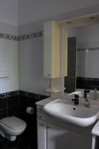 bagno con lavandino, servizi igienici e specchio di Casa Maria-Appartamento in Villa a Ispra