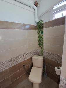 Et badeværelse på MauriSoleil Villa Privée avec Piscine - Flic en Flac