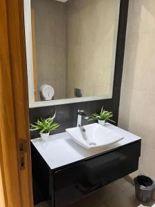 um lavatório de casa de banho com dois vasos de plantas em Appartement Marina Casablanca em Casablanca