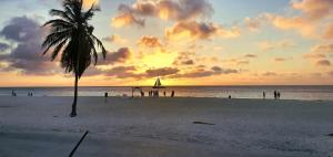 a palm tree on a beach with a sunset at BUSHWA APARTMENTS #2 , Tu 5 estrellas in Oranjestad