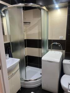 ウェバにあるApartament w centrum Łebyのバスルーム(シャワー、トイレ、シンク付)