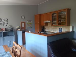 Kuchyň nebo kuchyňský kout v ubytování Ferienwohnung Mattheiser Weiher