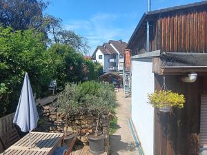 Zahrada ubytování Ferienwohnung Mattheiser Weiher