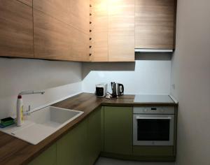 uma cozinha com armários verdes, um lavatório e um balcão em One Apartment near Lake in Bucharest em Bucareste