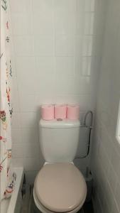 a bathroom with a white toilet with pink towels on it at Studio au centre de Quimper RDC in Quimper