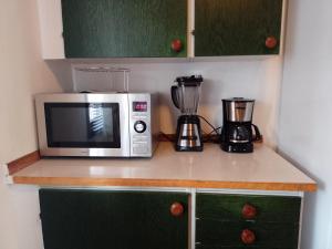um balcão de cozinha com um micro-ondas e um liquidificador em Holiday house in Grythem, Orebro, within walking distance to lake em Örebro