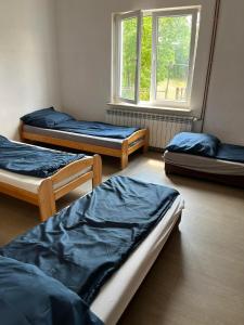 3 camas en una habitación con ventana en Hostel Łódźka 52 en Toruń