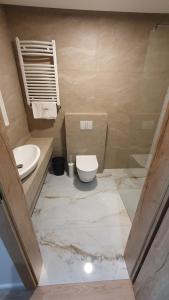 łazienka z toaletą i umywalką w obiekcie Villa Olimpijska 2 - Centrum w Wiśle