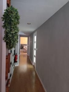 a hallway with a plant on the wall at Gasteiz Etxea l in Vitoria-Gasteiz