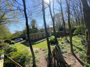 阿珀尔斯哈Bungalow Appelscha的院子中间有树的房子