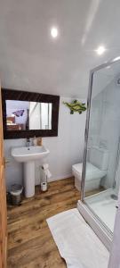 a bathroom with a sink and a toilet and a mirror at Windsor Cottage on The Big "W" Ranch in Nether Wasdale