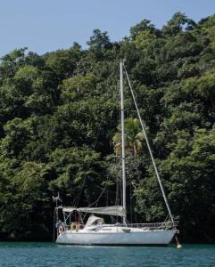 a sailboat in the water with trees in the background at Alojamiento en Velero Ilha Grande in Abraão