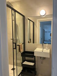 a bathroom with a sink and a shower with a mirror at Appartement Oliver in Chamonix-Mont-Blanc