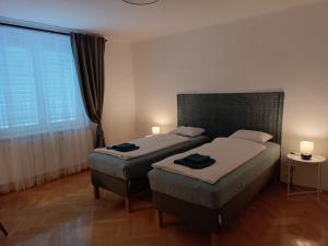 1 dormitorio con 2 camas y ventana grande en Flataid Apartments Gössendorf/Magna, 