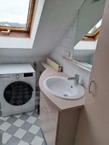 a bathroom with a sink and a washing machine at Flataid Apartments Gössendorf/Magna 