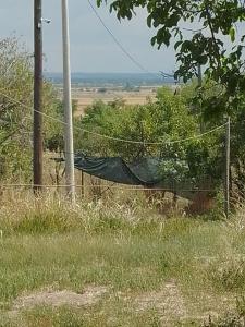 的住宿－Casa Mocanu 2，田野围栏上的吊床