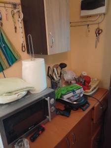 una encimera de cocina con microondas y algunas cosas en ella en Casa Mocanu 2, 