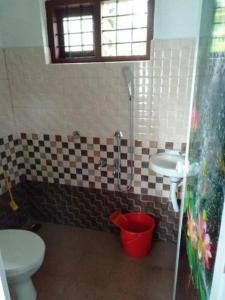 Anachal的住宿－Munnar Hills & Mist View，一间带卫生间和水槽的浴室