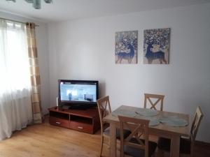 TV a/nebo společenská místnost v ubytování Tylko dla Orłów