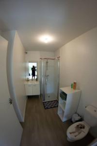 a white bathroom with a shower and a toilet at Studio le Flamboyant in Cholet