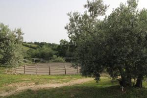 Fotografie z fotogalerie ubytování Case Bosco v destinaci Roccalbegna