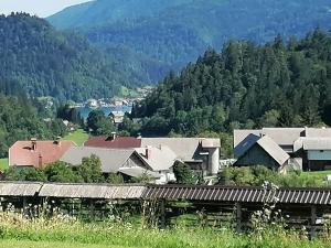 Příroda nedaleko apartmánu