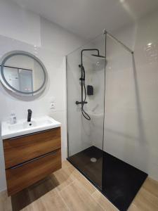 een badkamer met een douche, een wastafel en een spiegel bij Jardin entre cité et bastide in Carcassonne