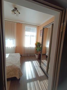 a bedroom with a bed and a large mirror at Apartment near University in Chernivtsi