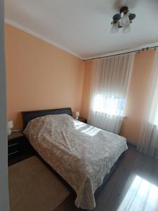 a bedroom with a bed and a ceiling fan at Apartment near University in Chernivtsi
