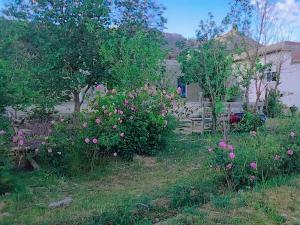 Vrt pred nastanitvijo Gîte Dayet Chiker