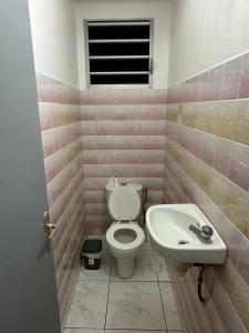 ein Bad mit einem WC und einem Waschbecken in der Unterkunft Chez Nouny in Le Marin