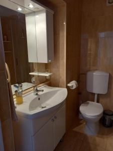 een badkamer met een wastafel, een toilet en een spiegel bij Apartments Filippi in Korčula
