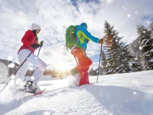 Landal Winterberg žiemą